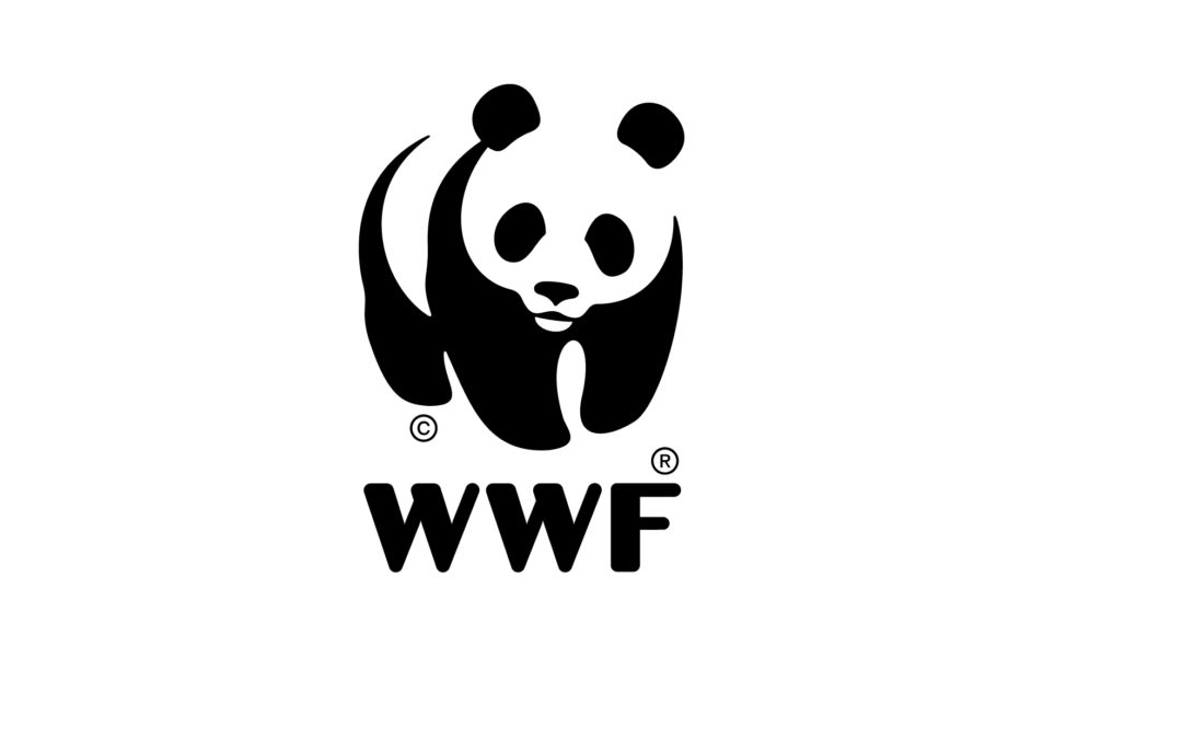 Vidéo pour le WWF